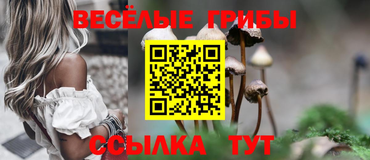 Галлюциногенные грибы GOLDEN TEACHER Набережные Челны
